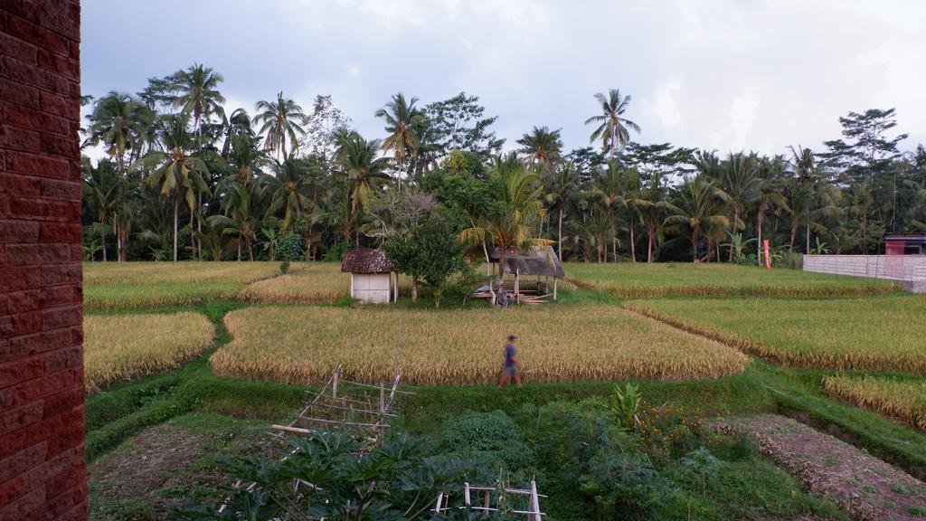 Wayan Garden Hotel Ubud  Bagian luar foto